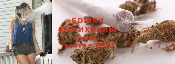 индика Баксан