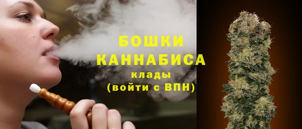 индика Баксан