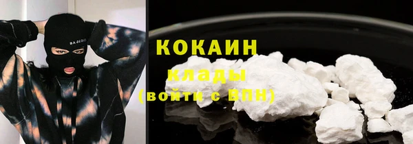 индика Баксан