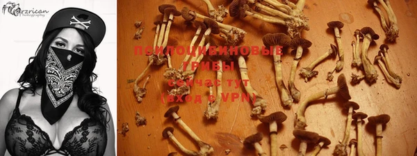 индика Баксан