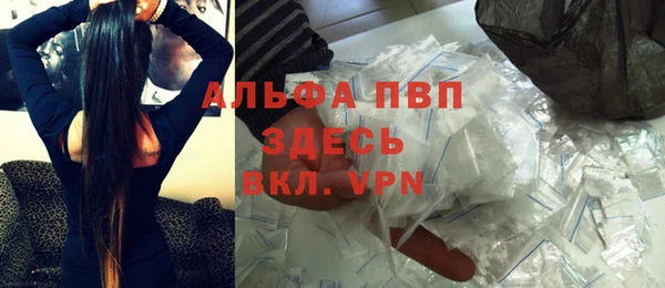 индика Баксан