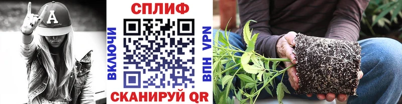 Шишки марихуана гибрид  omg вход  Калининец 